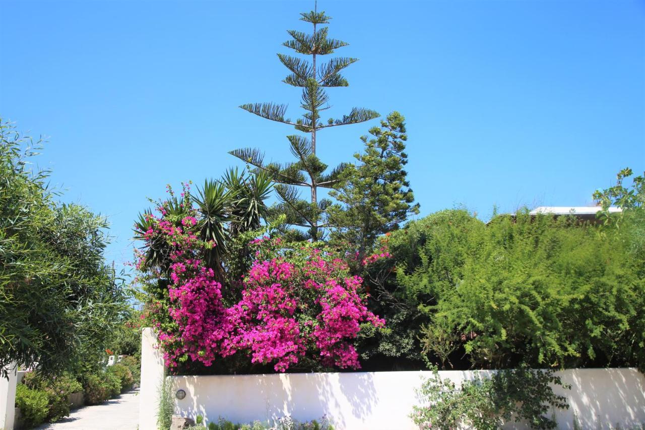 Pension Ioanna Adamantas  ภายนอก รูปภาพ